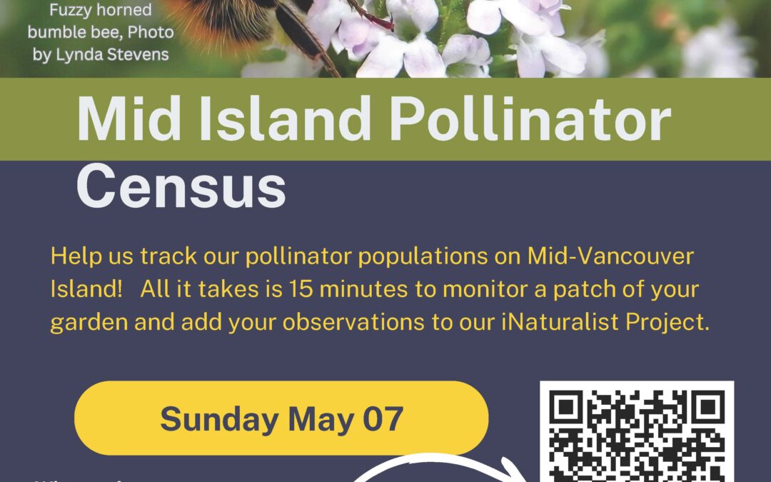Mid-Vancouver Island Pollinator Census