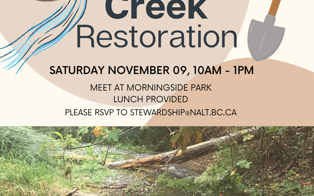 Walley Creek Restoration