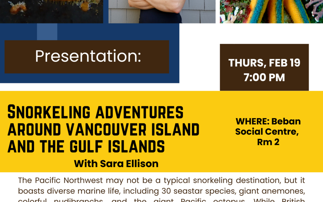 Snorkeling Adventures around Vancouver Island with Sara Ellison