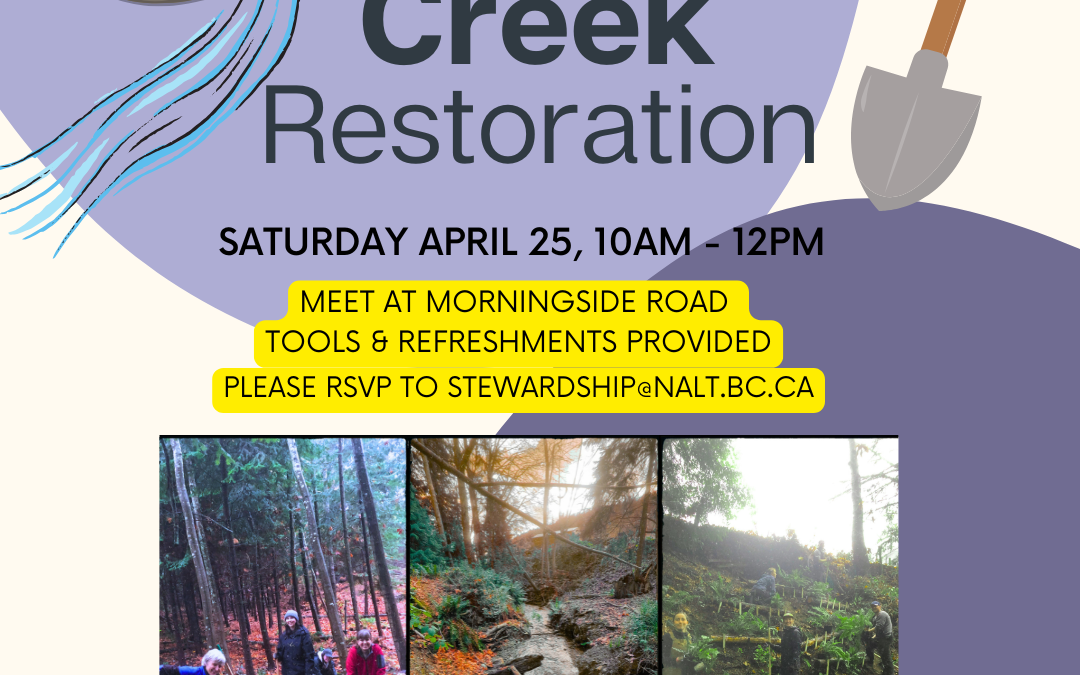 Walley Creek Workparty